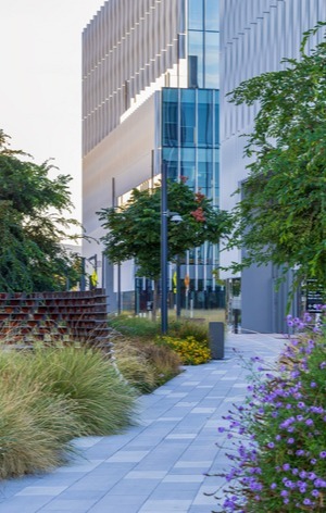 office-building-landscaping-1806336873